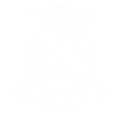 Institute of Earth Sciences and Technology Logo